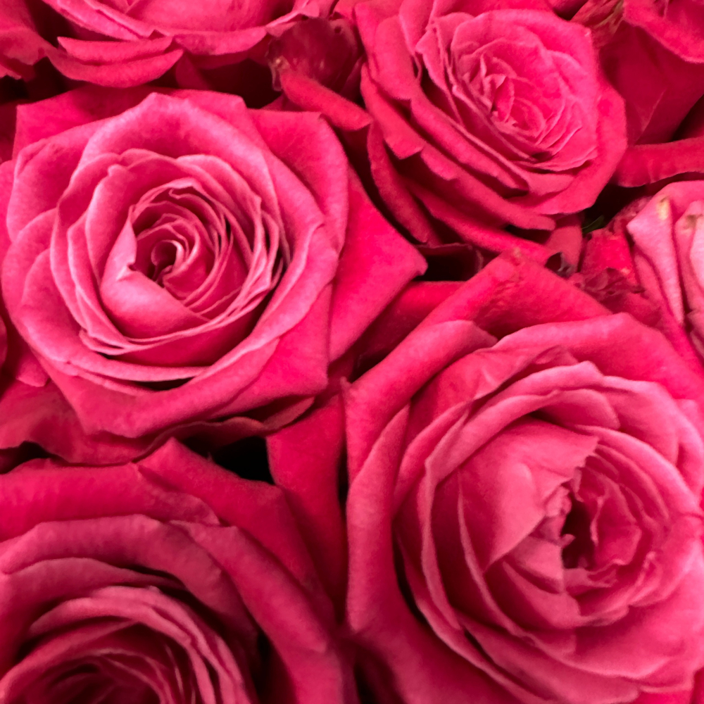 Букет из малиновых роз