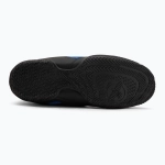 Боксёрки Hayabusa Strike Boxing blue