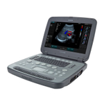 Ультразвуковая система Siemens Acuson P500