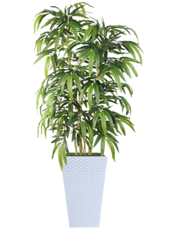 Искусственный Бамбук 150см в белом кашпо ротанг