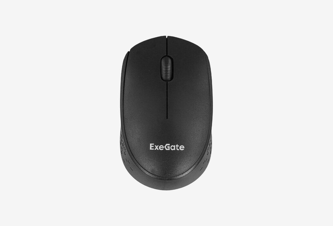 EX295309RUS_0126327100905