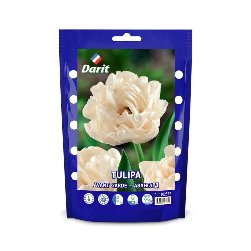 ЛУКОВИЦЫ ТЮЛЬПАН МАХРОВЫЙ АВАНТ ГАРД/AVANT GARDE 12/14, DARIT 5 ШТ/УП