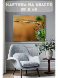 Картина на стену 40 X 50 Стрекоза