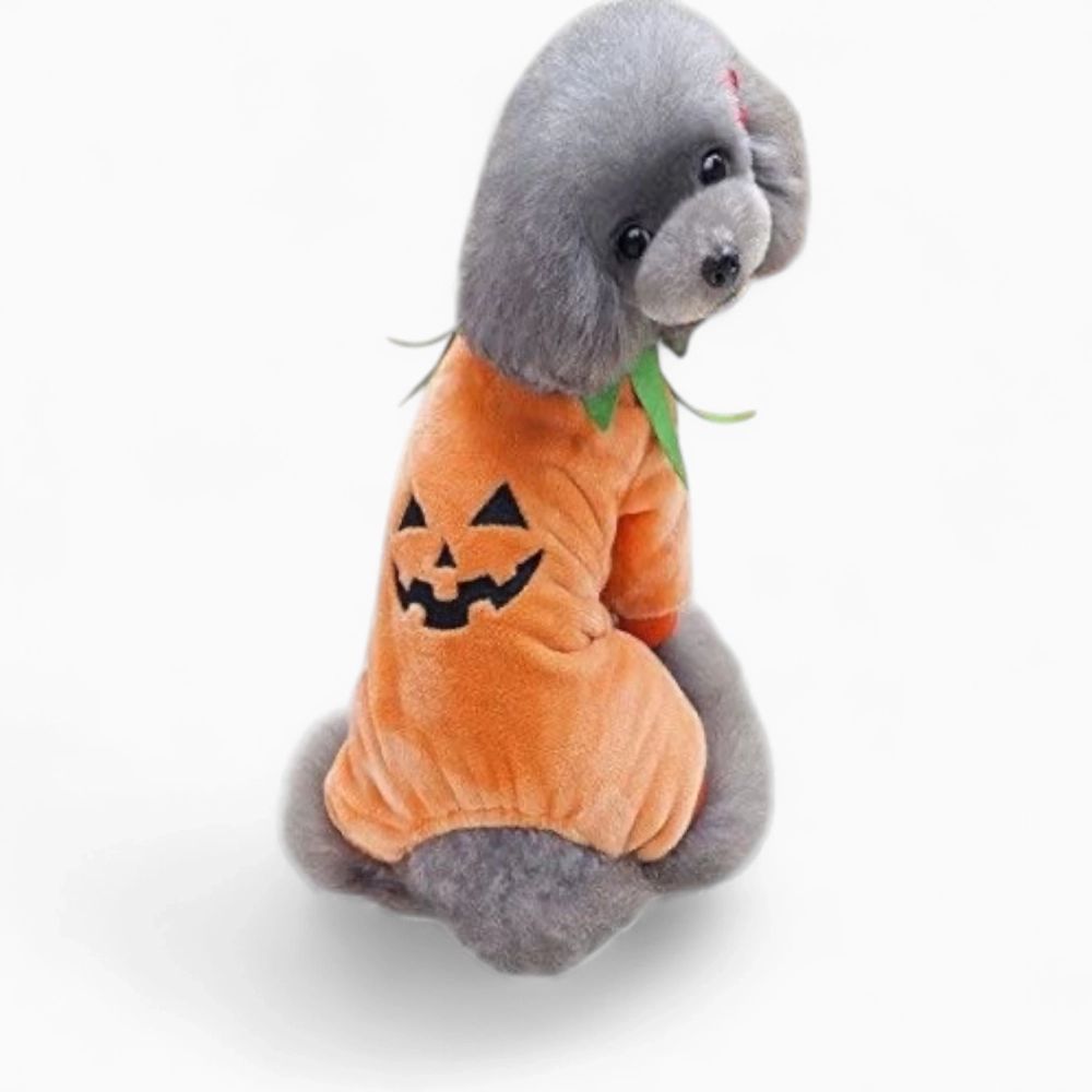 Комбинезон «Тыква»