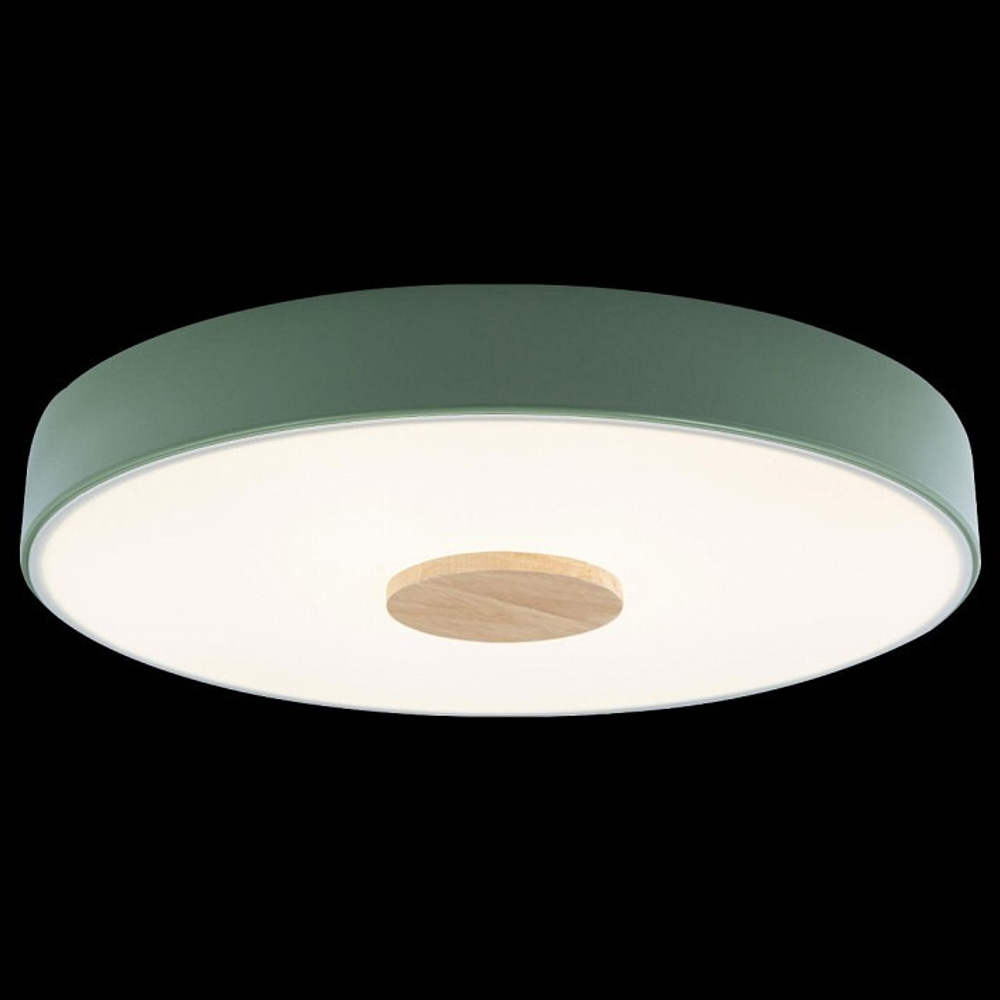 Накладной светильник Loft it 10003/24 Green