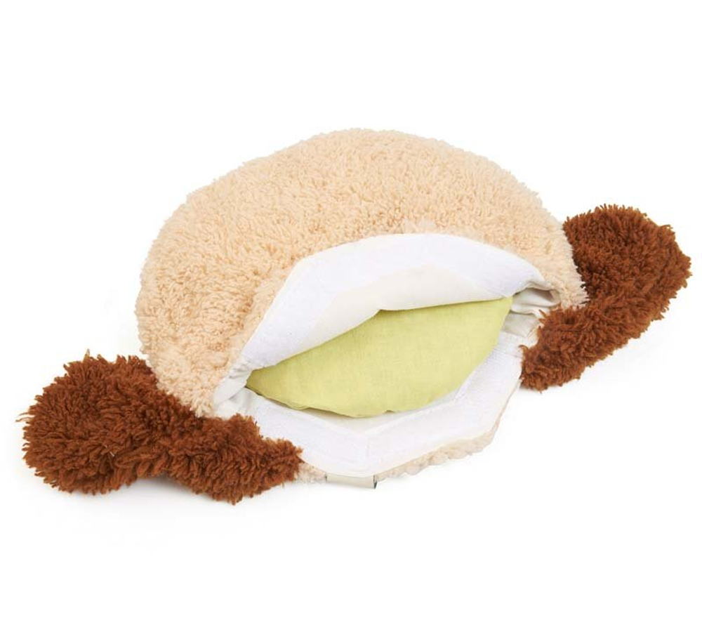 Зелёный дятел. Моя маленькая собачка, любящая тепло.