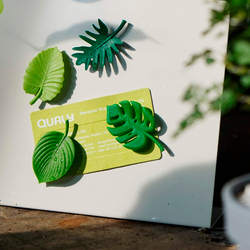 Набор магнитов 4шт Qualy Tropical