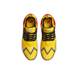 Мужские кроссовки Nike Air Presto 'Road Race' CT3550-700