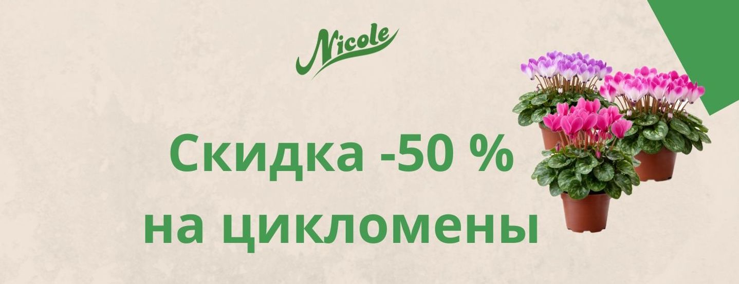 ЦЕНА  от 1300 тг