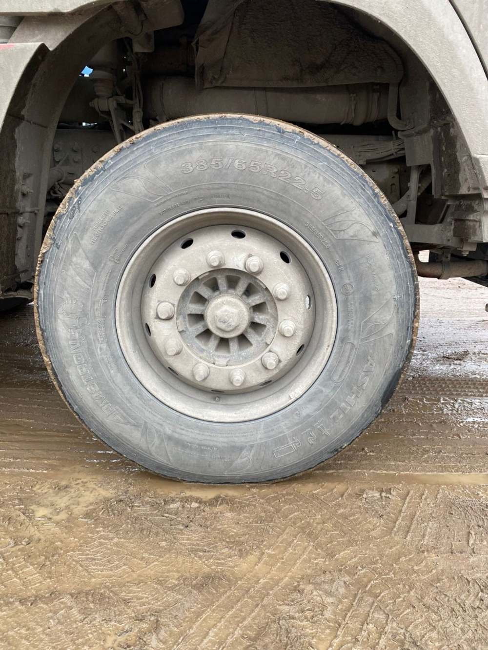 Shacman (Shaanxi) SX* 8x4 Самосвал SX331863366 (Дизельный, 12,5 л, 551 л.с., МТ)