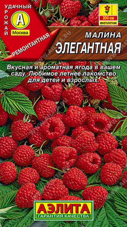 Малина "СТ. Элегантная" 20шт., Россия.