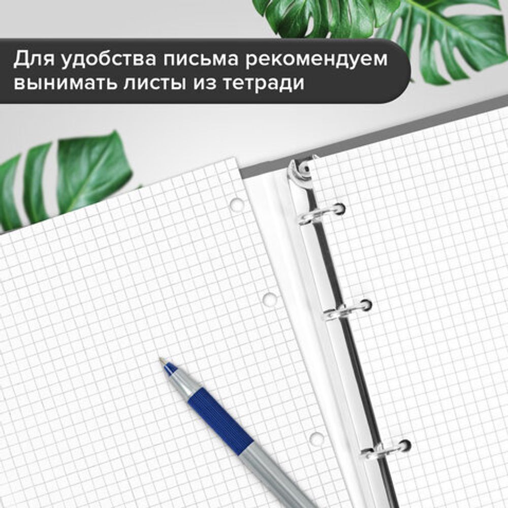 Тетрадь на кольцах БОЛЬШАЯ А4, 215х305 мм, 100 л., твердый картон, клетка, BRAUBERG, "Rhythm", 405407