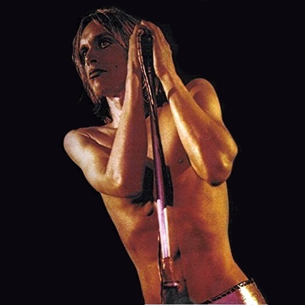 Iggy And The Stooges / Raw Power (2LP)