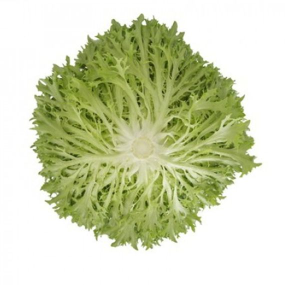 Экстемп семена салата листового (Rijk Zwaan / ALEXAGRO) культура