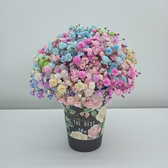 Радужная гипсофила в стаканчике "Ты лучшая"