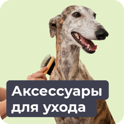 Аксессуары для ухода