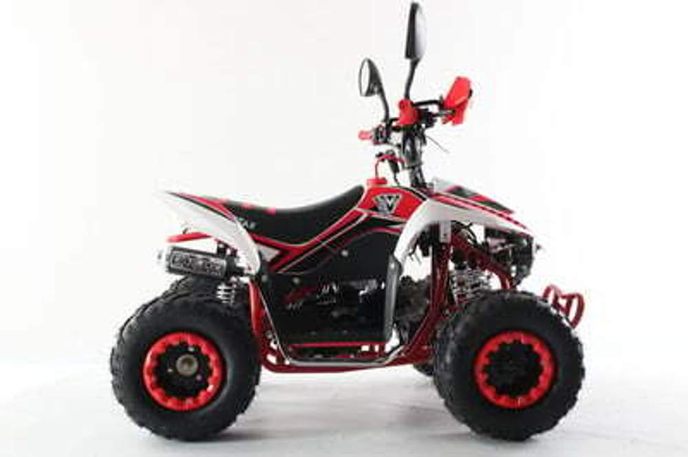 Квадроцикл MOTAX Mikro 110 NEW