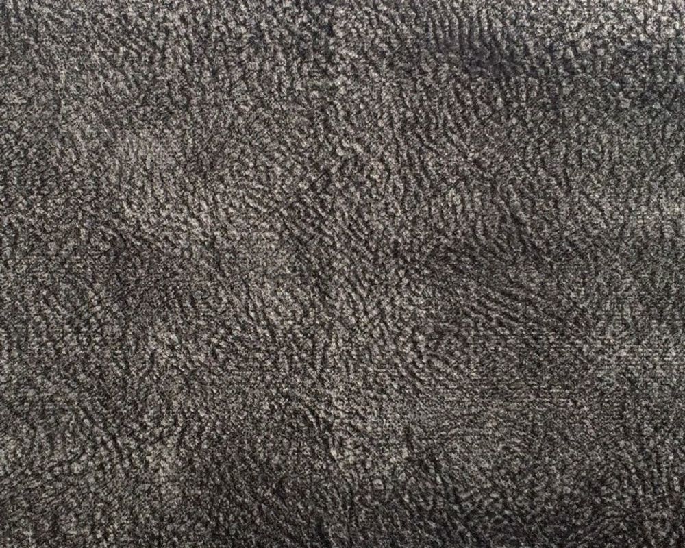 Кортекс графит