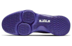 Кроссовки Nike Witness 4 Lebron Ep
