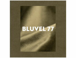 Стул SIGNAL RALPH Velvet Bluvel 77 оливковый/черный