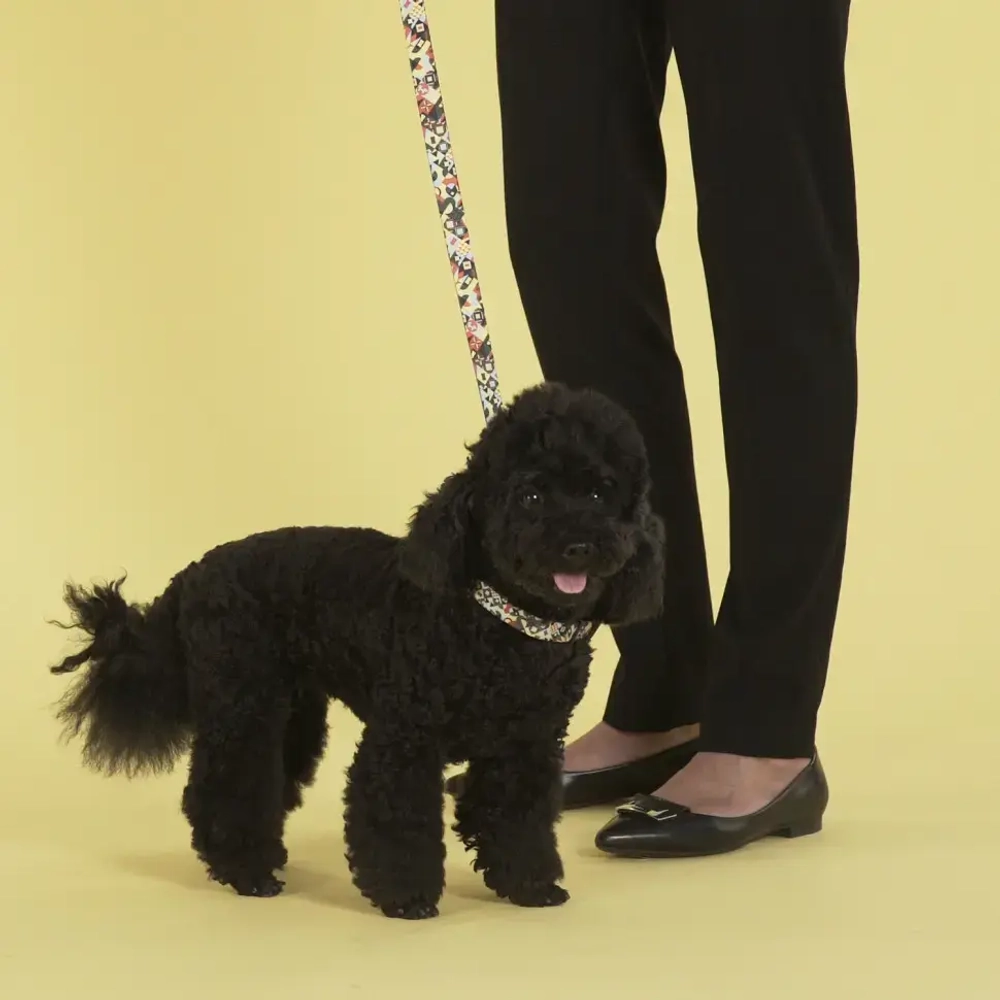 United pets complete me ошейник для собак, m 34-56/2 см, разноцветный рисунок