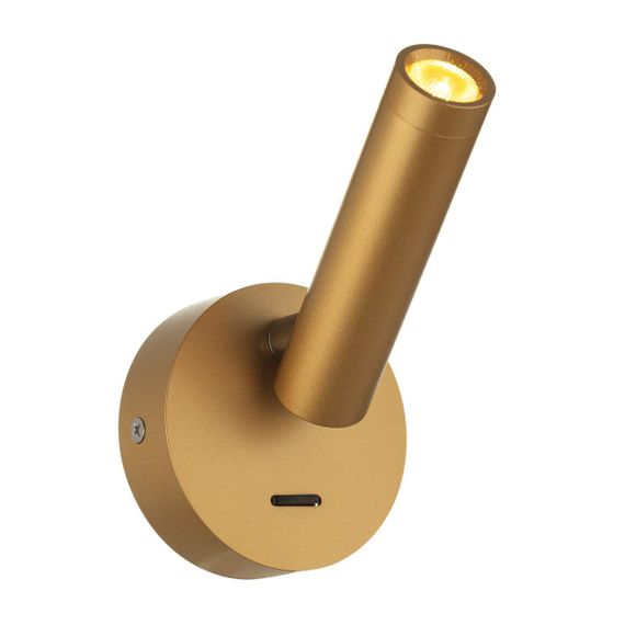 Спот Citilux Декарт CL704102