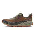 Кроссовки мужские Hoka Speedgoat 6