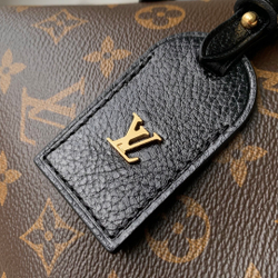 Louis Vuitton CarryAll BB