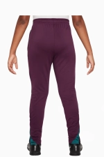 Штаны Nike PSG 24/25 Strike Junior
