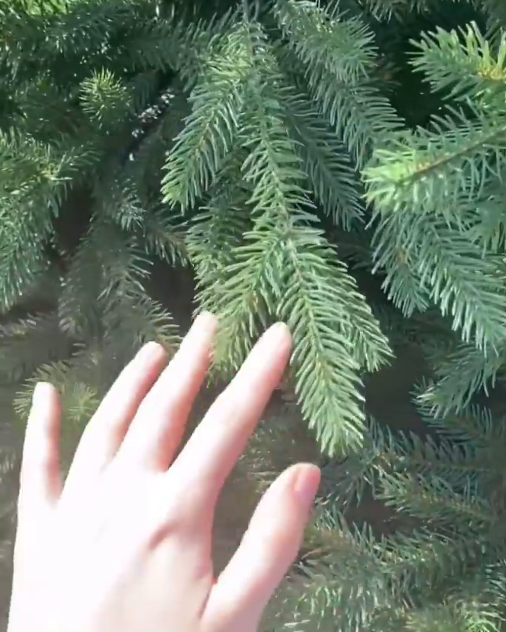 Большая елка «Финская» (Литая+пвх) 5 м