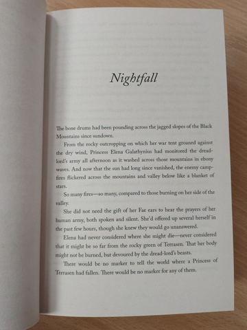 Empire of Storms (Sarah J. Maas)