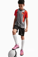 Футболка Nike Chelsea FC 25/26 Academy Pro Junior - серый