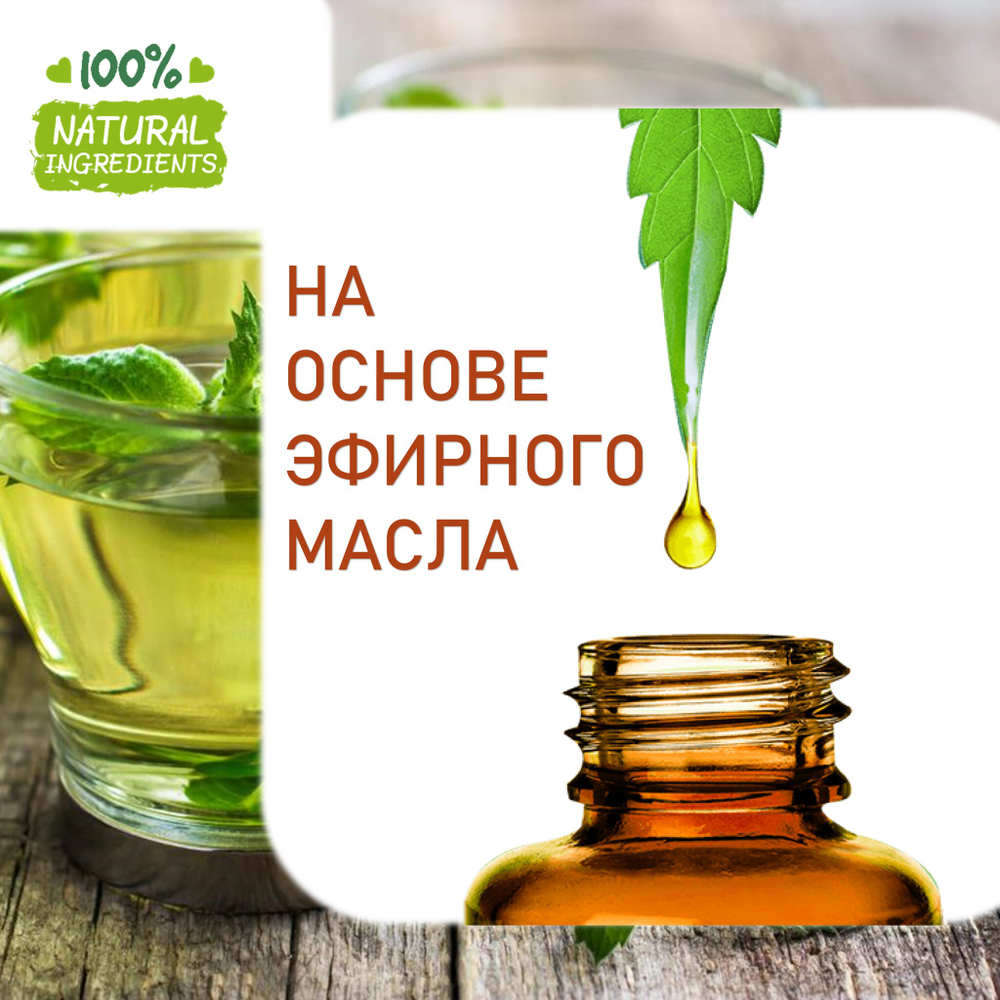 Чай с мятой, отдушка для свечей и мыла