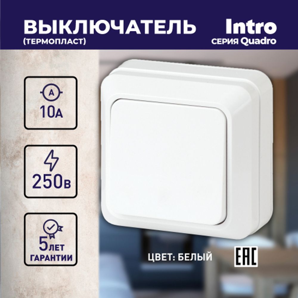 Выключатель Intro Quadro 2-101-01 одноклавишный 10А-250В, IP20, ОУ, белый