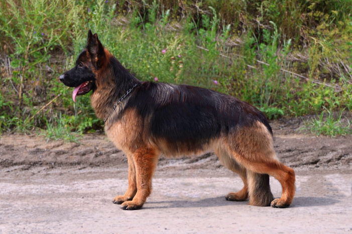 <span>&nbsp;<span class="breadcrumb-page">PEPPER TEAM CARRERA</span></span>