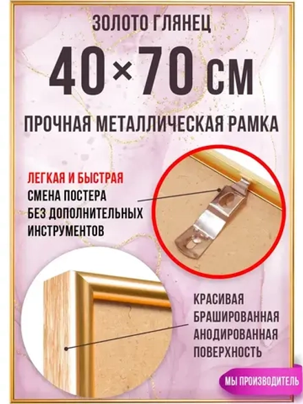 Металлическая фоторамка 40х70 см