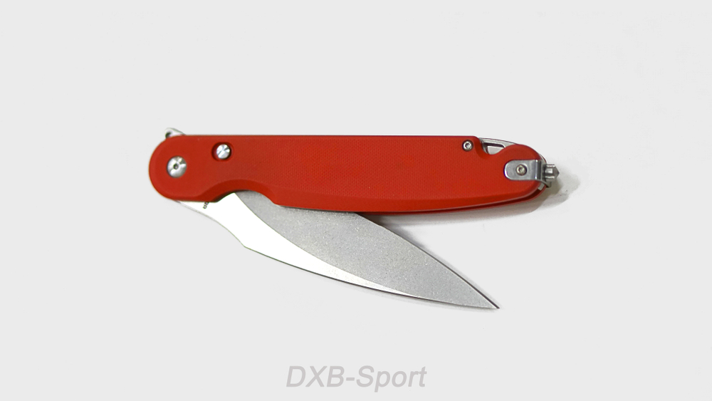 Daggerr Parrot Red