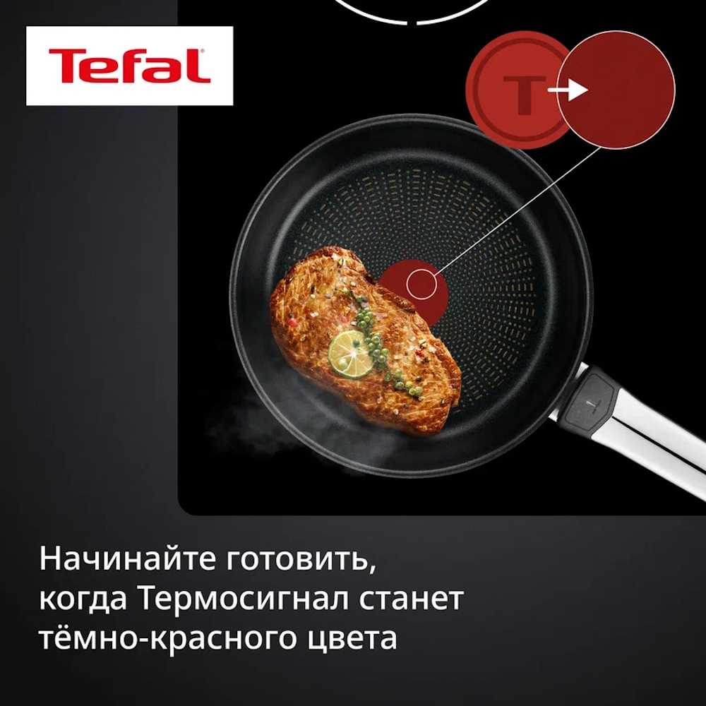 Сковорода Tefal Emotion+ Flavors 20 см E3270244