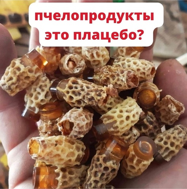 ПЧЕЛОПРОДУКТЫ ПОМОГАЮТ ИЛИ ЭТО САМОВНУШЕНИЕ?