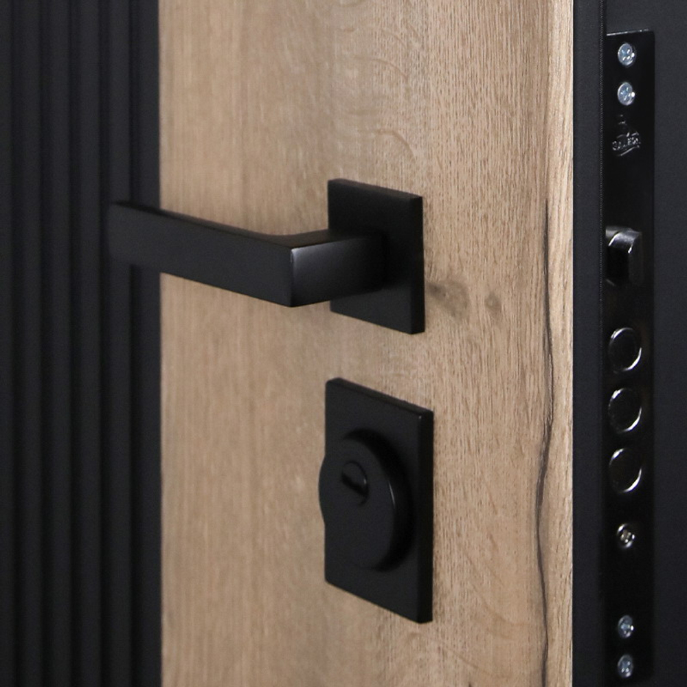 Стальная дверь "Britannia"  Заказная модель.