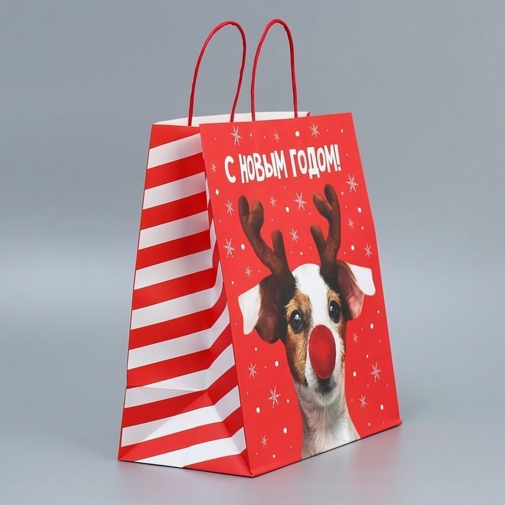 Пакет подарочный 28 × 32 × 15 см крафтовый «Олень ты» (Дарите Счастье)