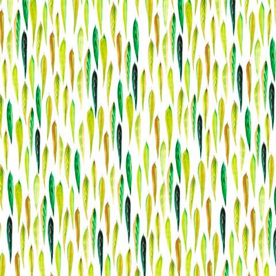 Листья ивы на белом фоне