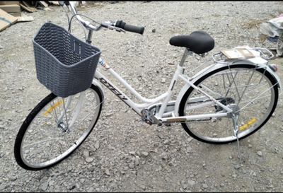 Велосипед 24 не скоростной DTFLY тонкая рама с пласт. корз.