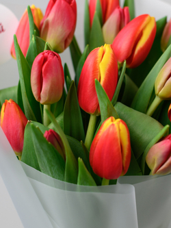 Тюльпаны микс