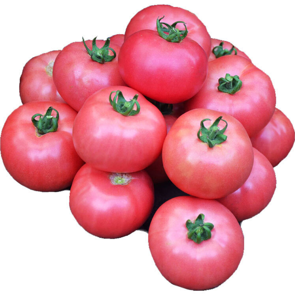 245859