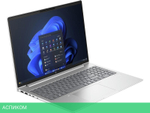 Ноутбук HP ProBook 460 G11 (5Z679AV)
