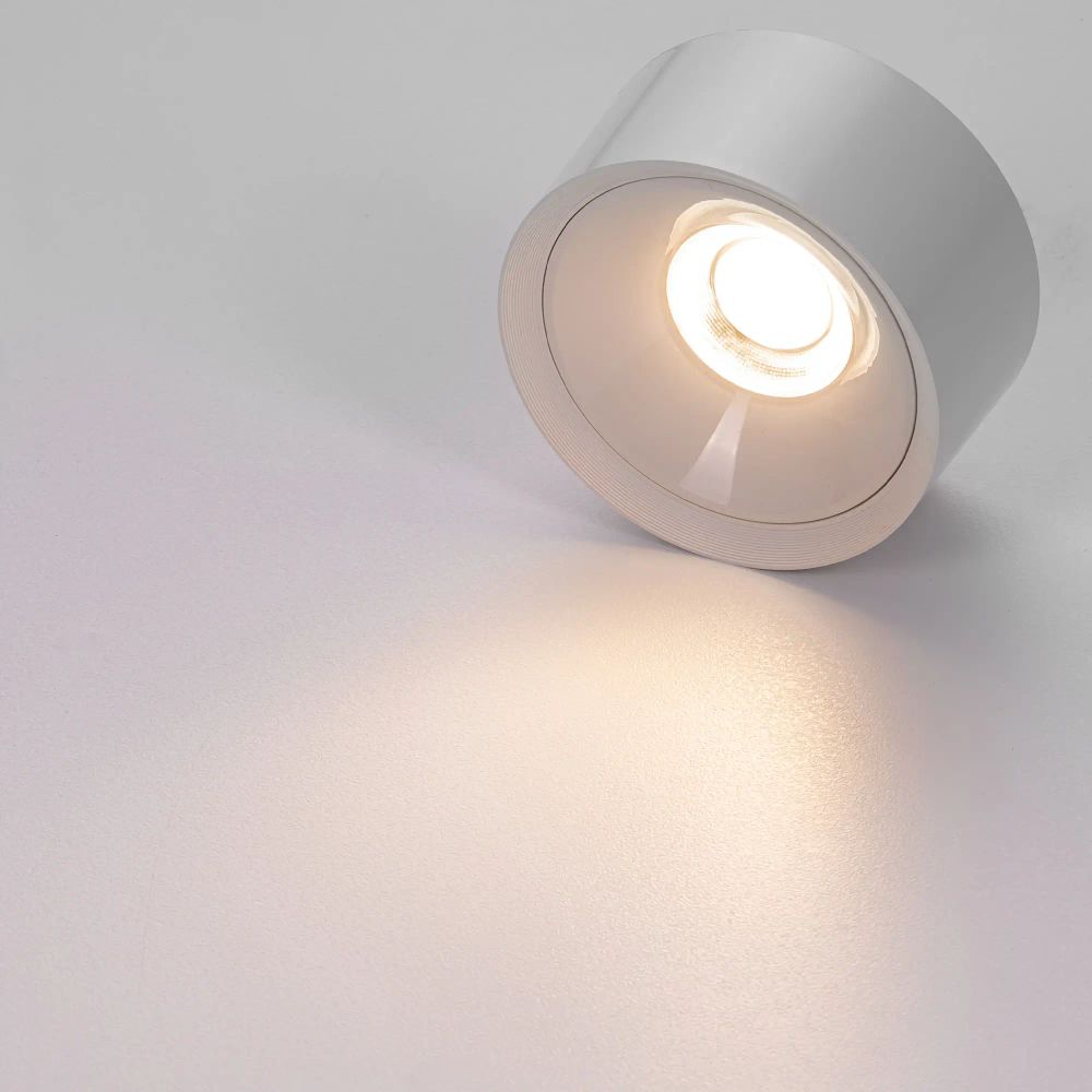 Citilux ROVER CL743090N LED Накладной светильник Белый