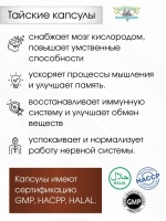 Тайские капсулы Гинко Билоба и Женьшень