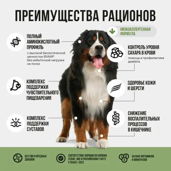 Сухой корм BOWL WOW для взрослых собак крупных пород с ягненком, индейкой, рисом и добавлением цукини