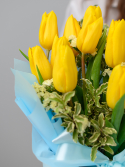 Немного солнца в холодной воде